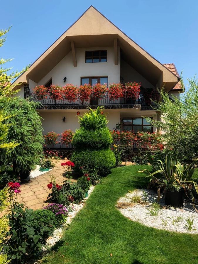 Вилла Casa Mona Орадя Экстерьер фото
