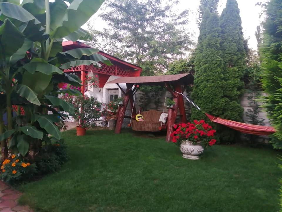 Вилла Casa Mona Орадя Экстерьер фото